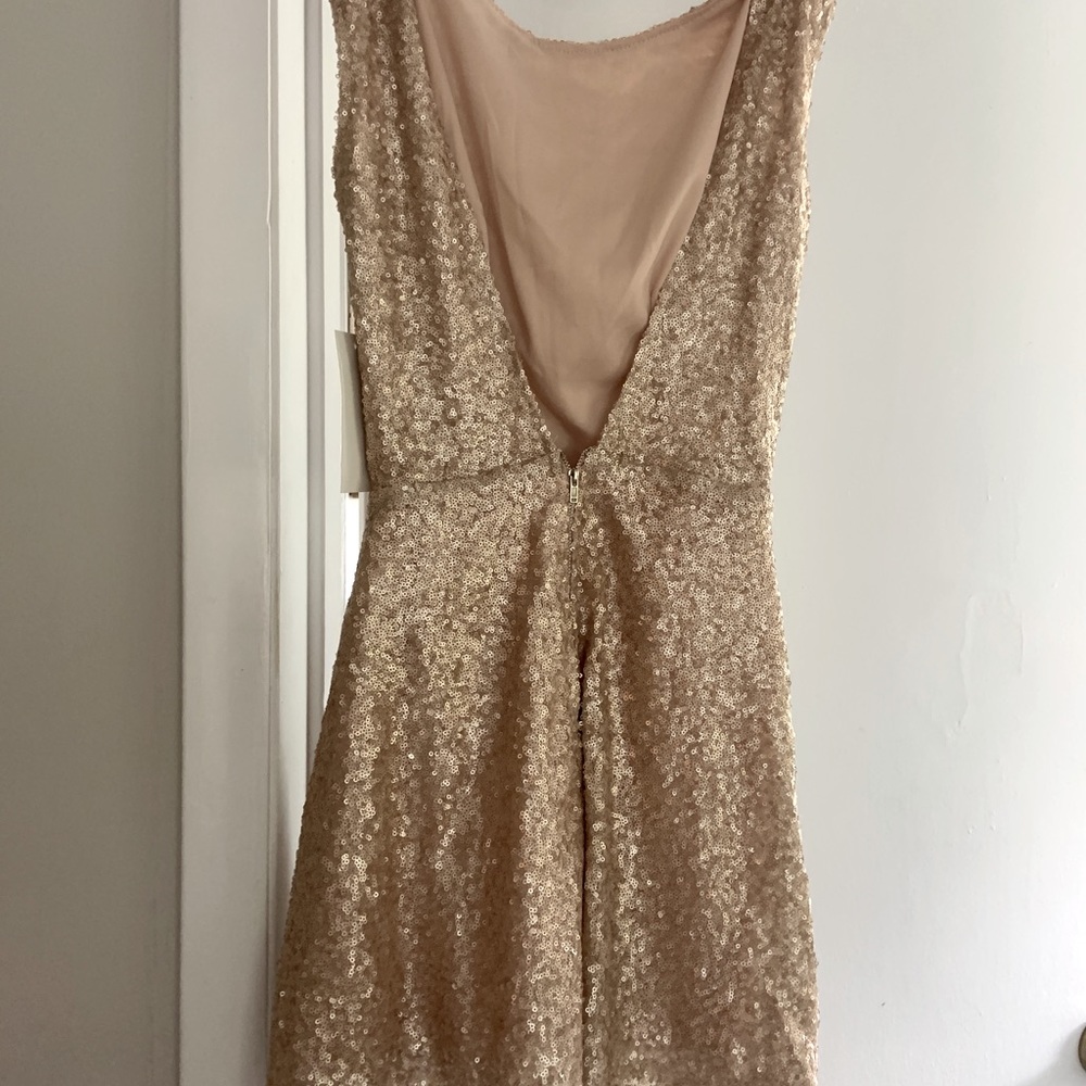 Tobi fit and flare can sequin dress